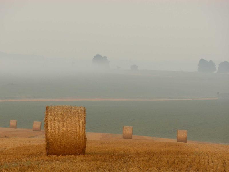Atmosfer
